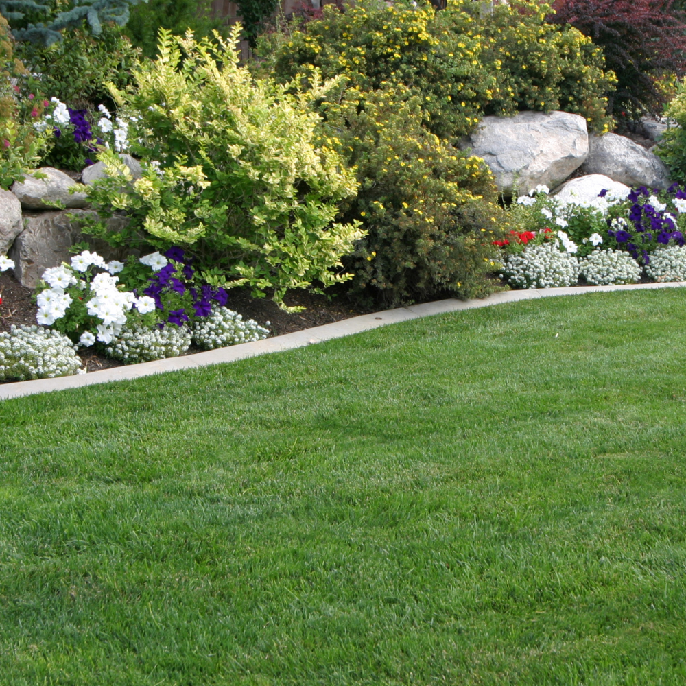Professional Certificate In Landscaping